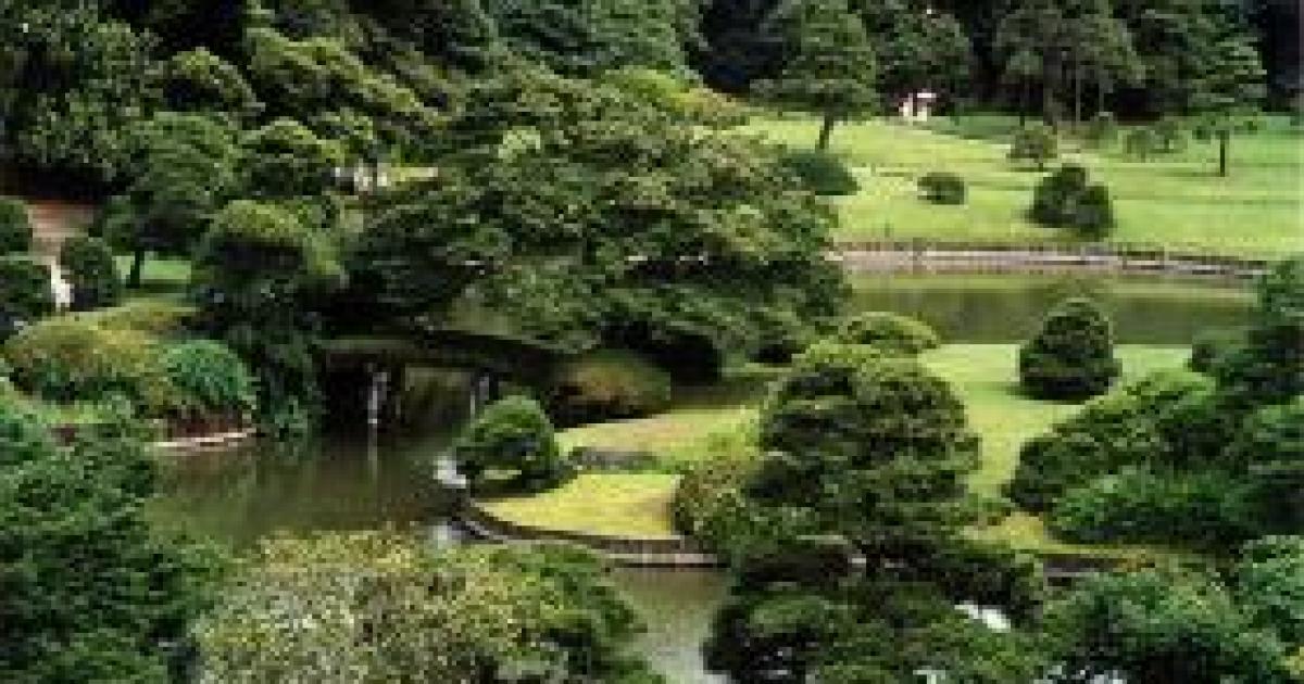 Haiku Contest
