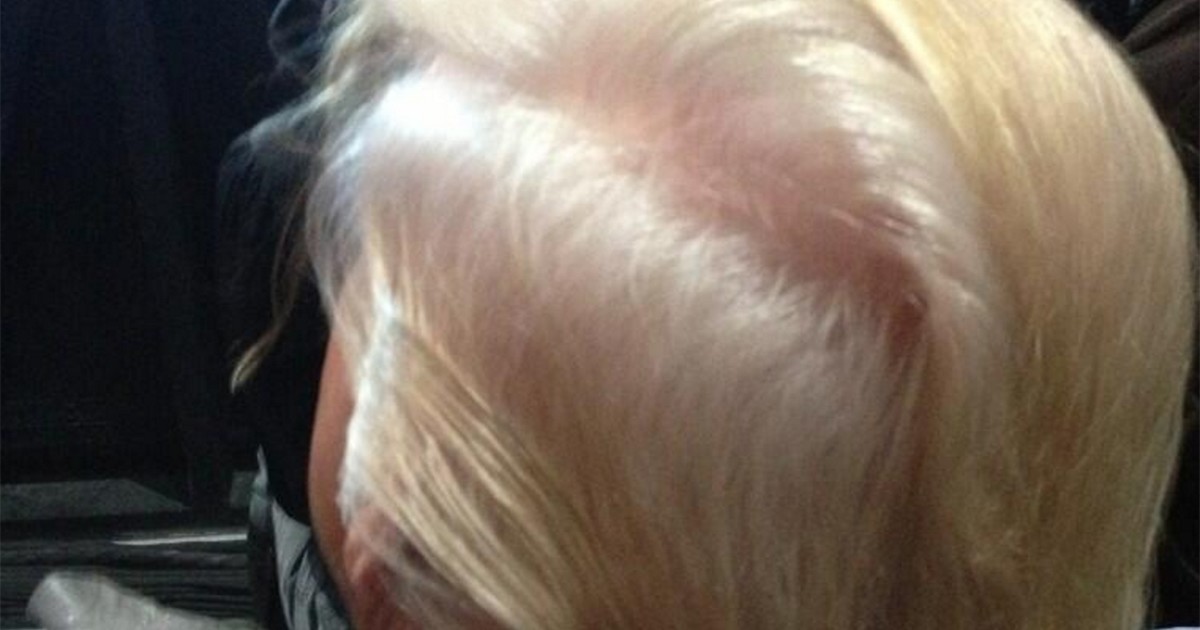 Weird Week in (Internet) Politics: Austin's Model for Dumb Government, Hillary's Diagram, Trump's Hair is Real