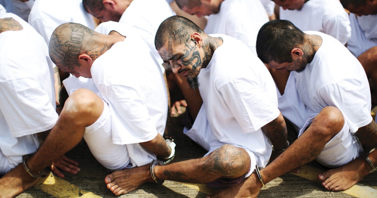 A Glimpse Inside a Violent Gang