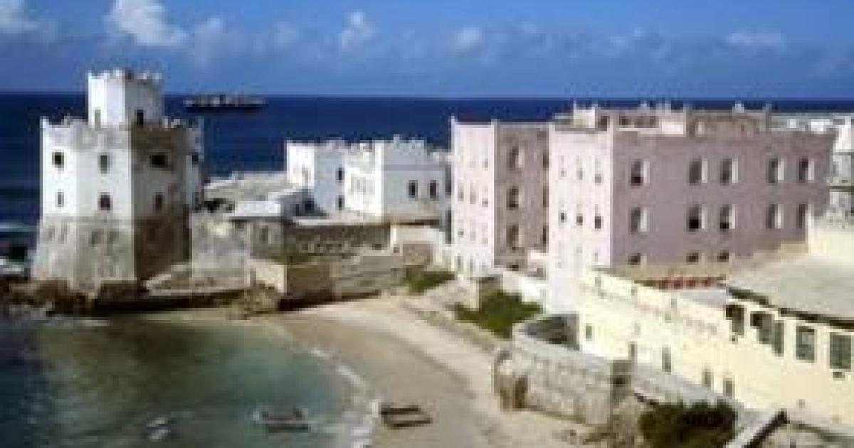 The Terror of al Shabaab