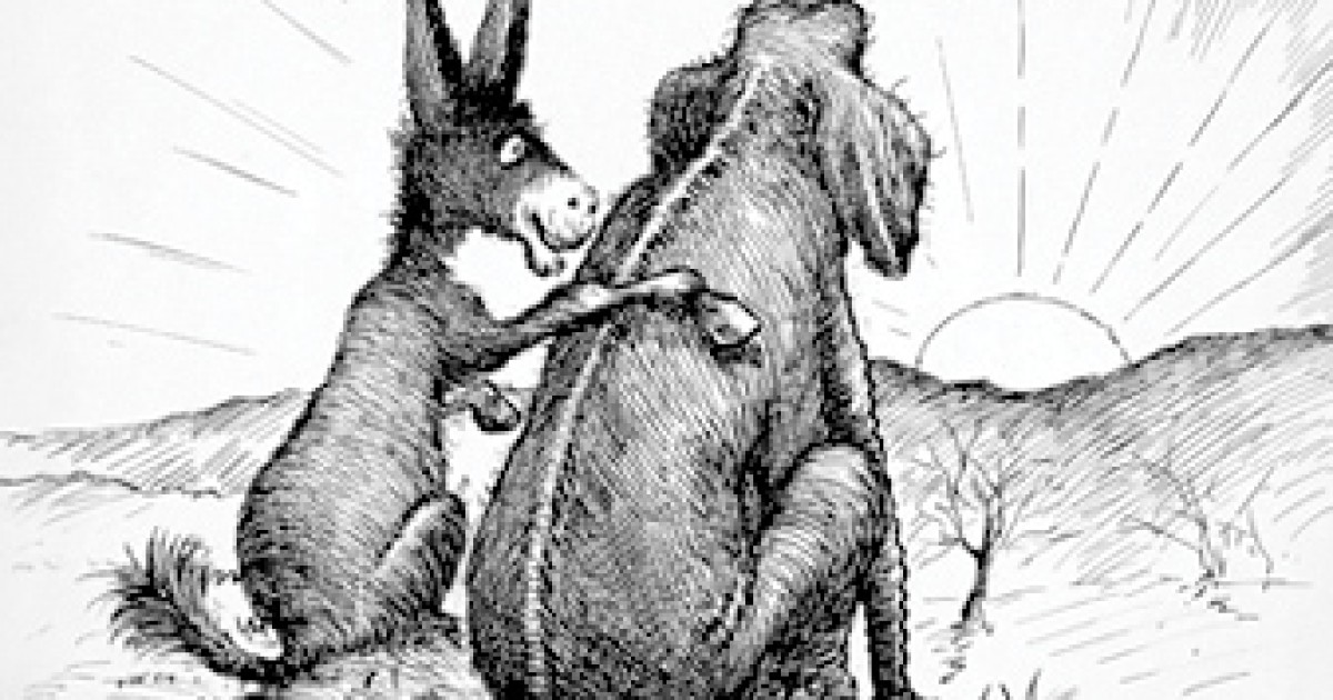 Elephantiasis