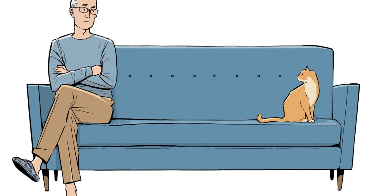 Reigning Cats and Dogs