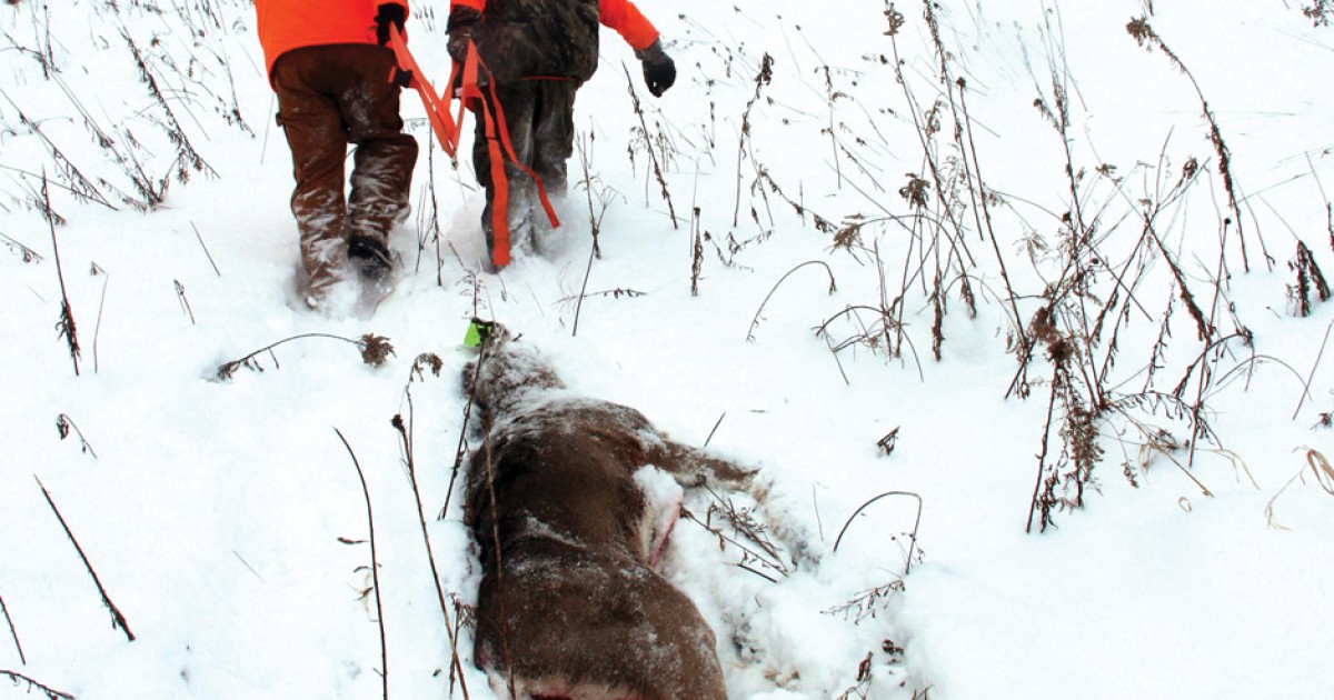 Hunting . . . for the Hell of It