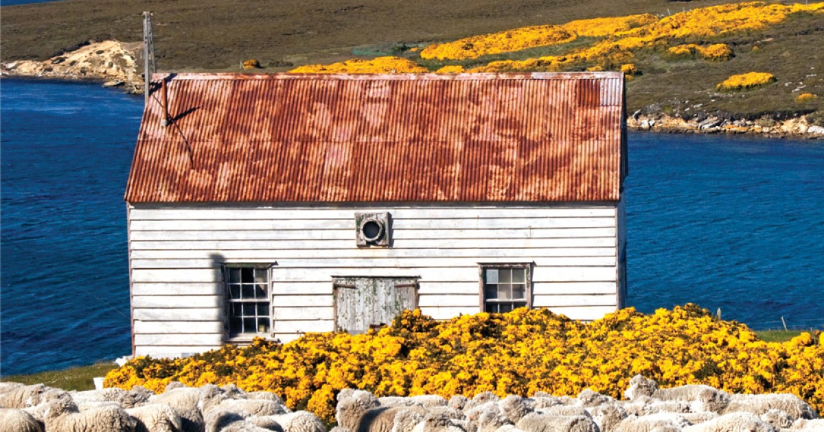 Stand with the Falklands