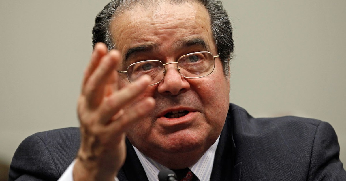 Scalia Sweats