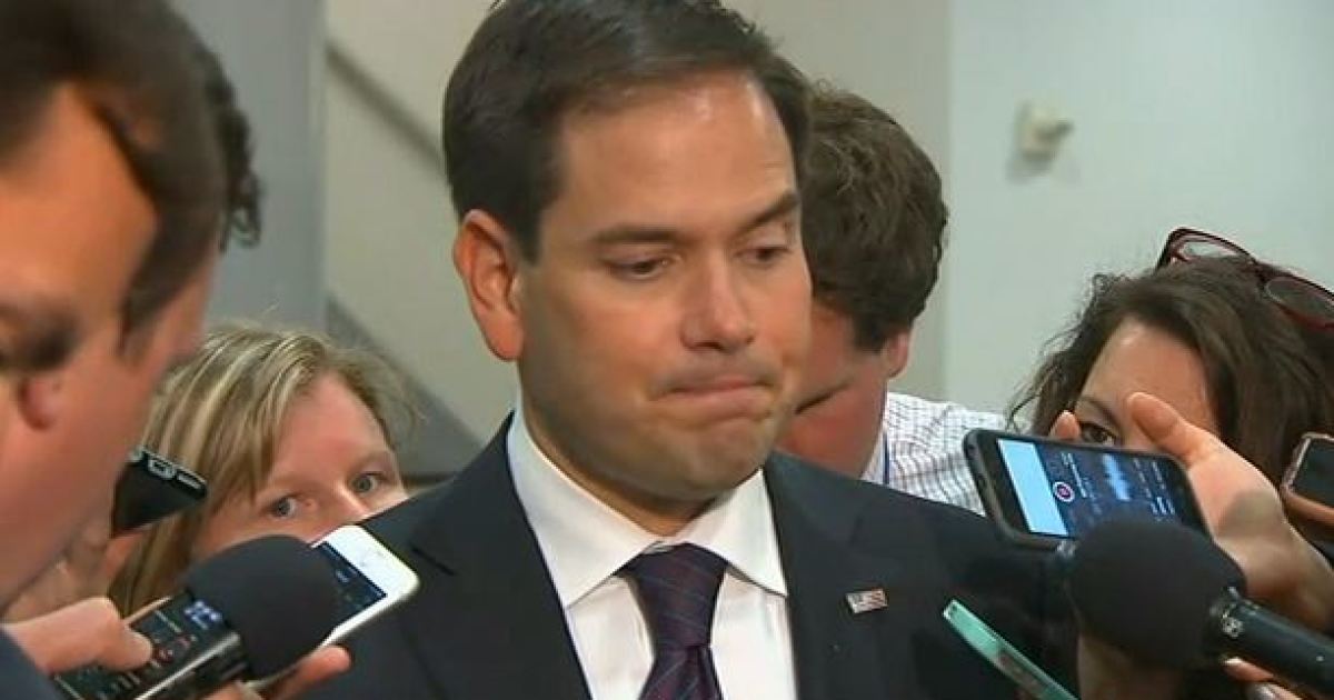 Rubio's Reemergence Sets Stage for Possible Senate Run