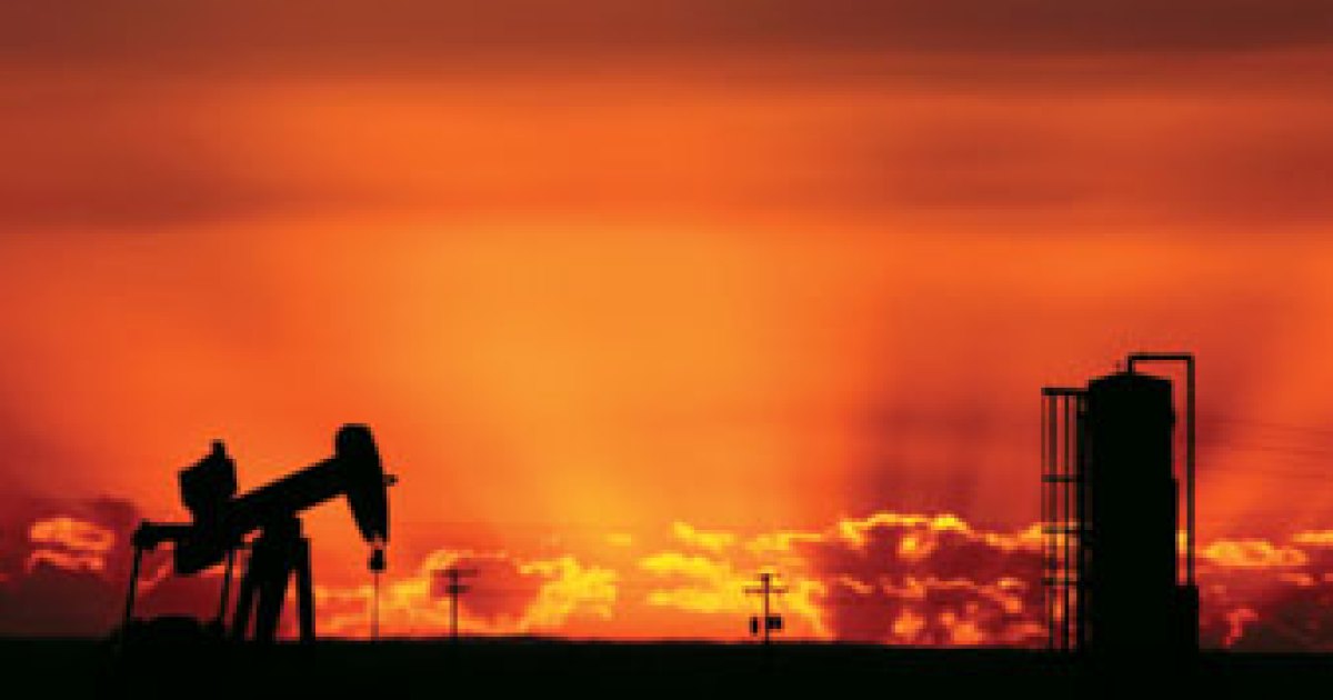Energy in the Executive