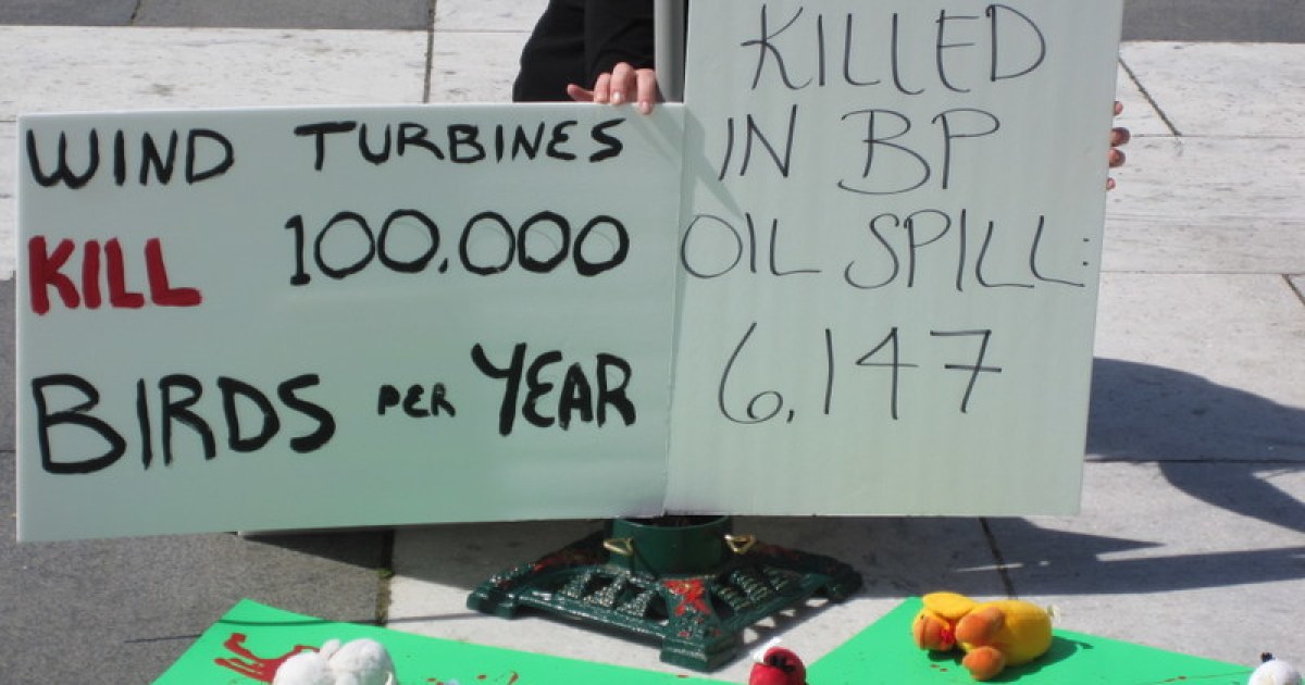Anti-Occupy Protest Takes on Bird Killing Wind Turbines