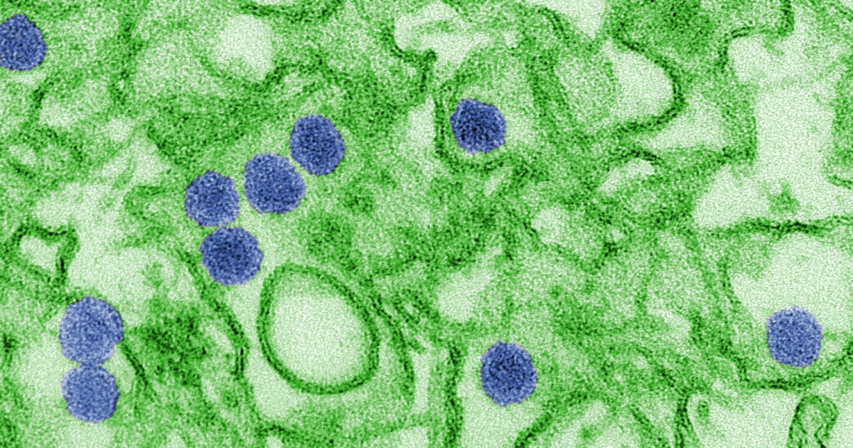 Democrats' Dishonesty on Zika Bill