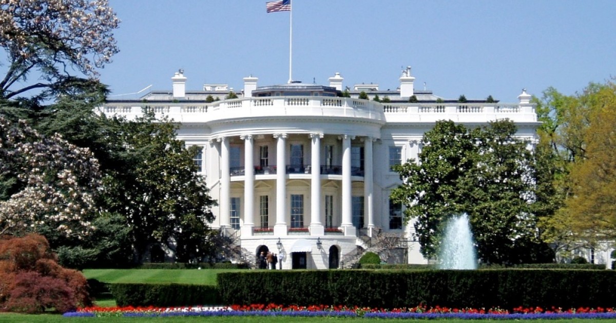 Kristol Clear: 'The Jobs Game' Comes to D.C.