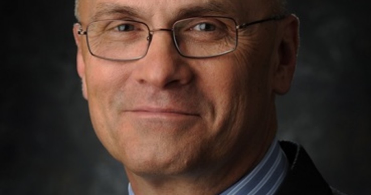 Democrats Try to Run the Trump Strategy on Andy Puzder
