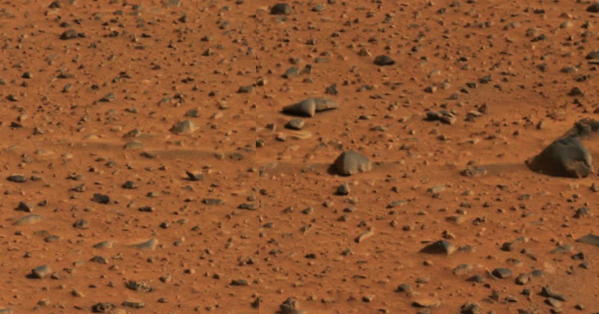 Fact Check: Is NASA ‘Preparing This [Teenage] Girl To Become The First Human On Mars’?