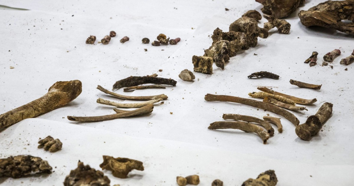 The Bones of Miguel