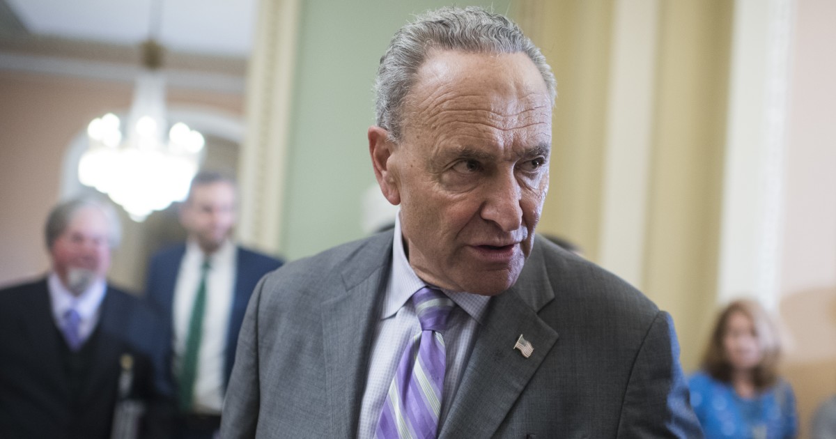 Schumer: Give Us All of the Kavanaugh Docs