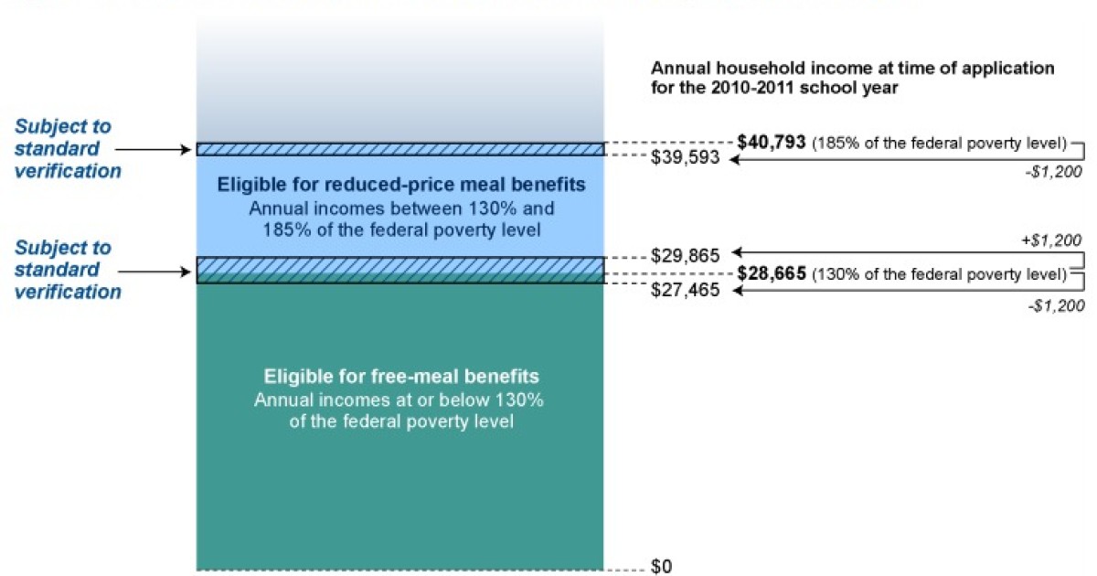 Gov't Report: Nearly Half Approved School Lunch Applications Found to Be Ineligible