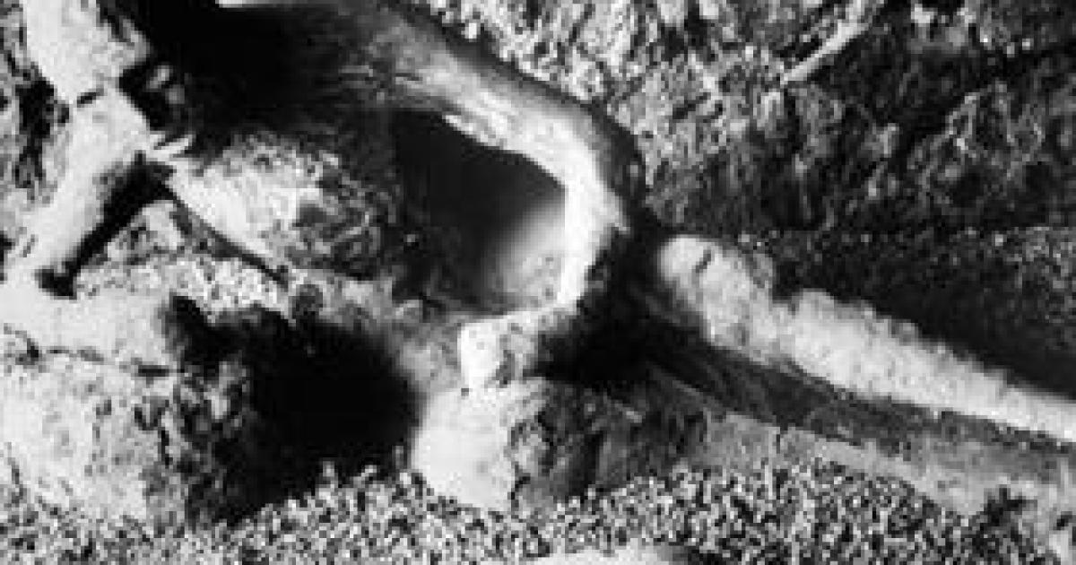 Mortal Remains