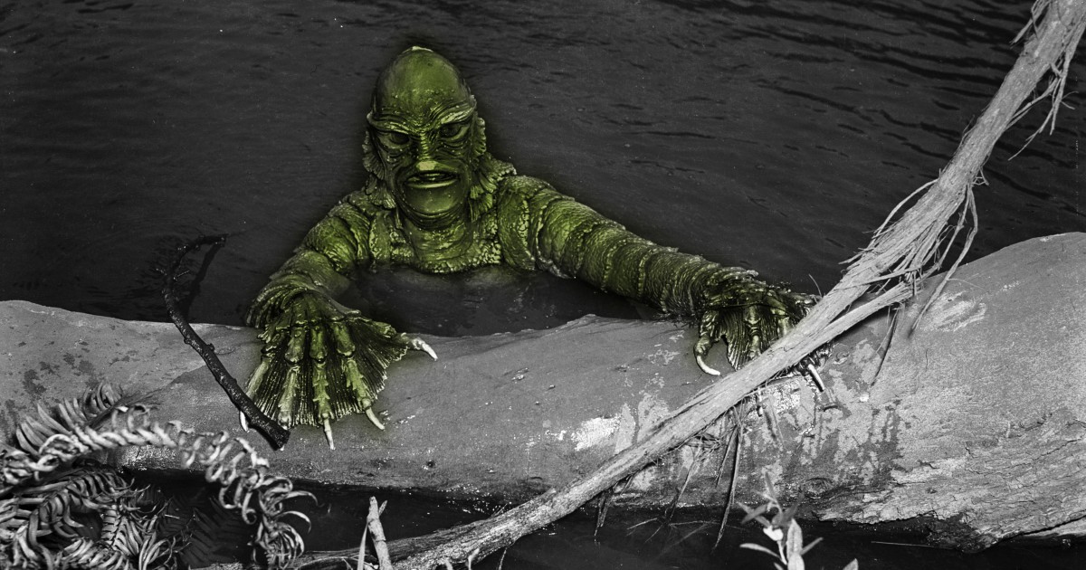 Editorial: The Swamp, Only Swampier