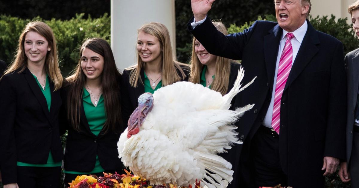 It's a Turkey: Trump's Tax Reform Is Good for Corporations, Bad for Federal Debt