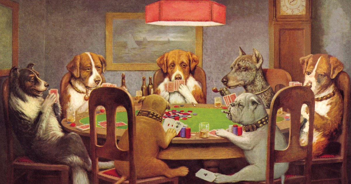 Social Animals