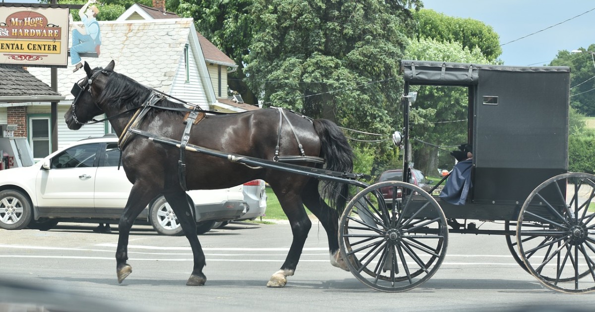 Afternoon Links: Amish Rock, Paul Nehlen Works the Alt-Right, and Journalistic Trust