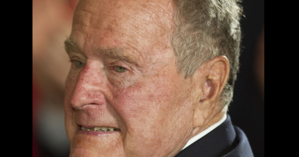 The Bush League