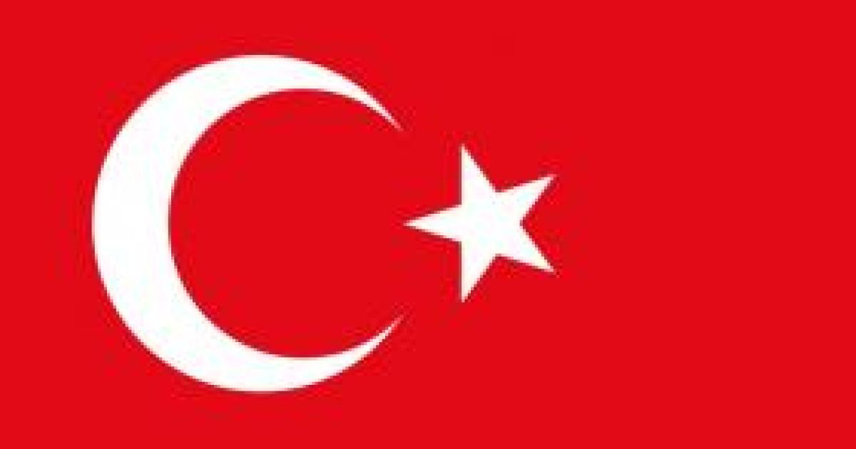 Turkey's Prime Minister Erdoğan Threatens to Sue America