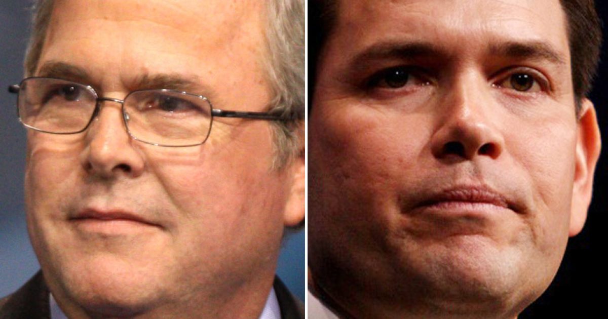 Can Jeb Tear Down Rubio?