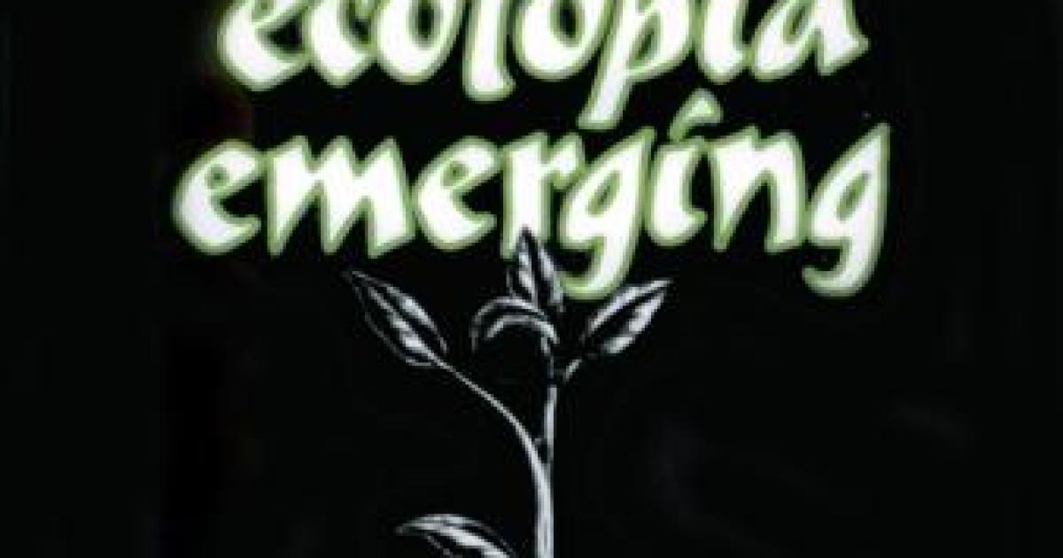 Can Plants Have Human Rights?