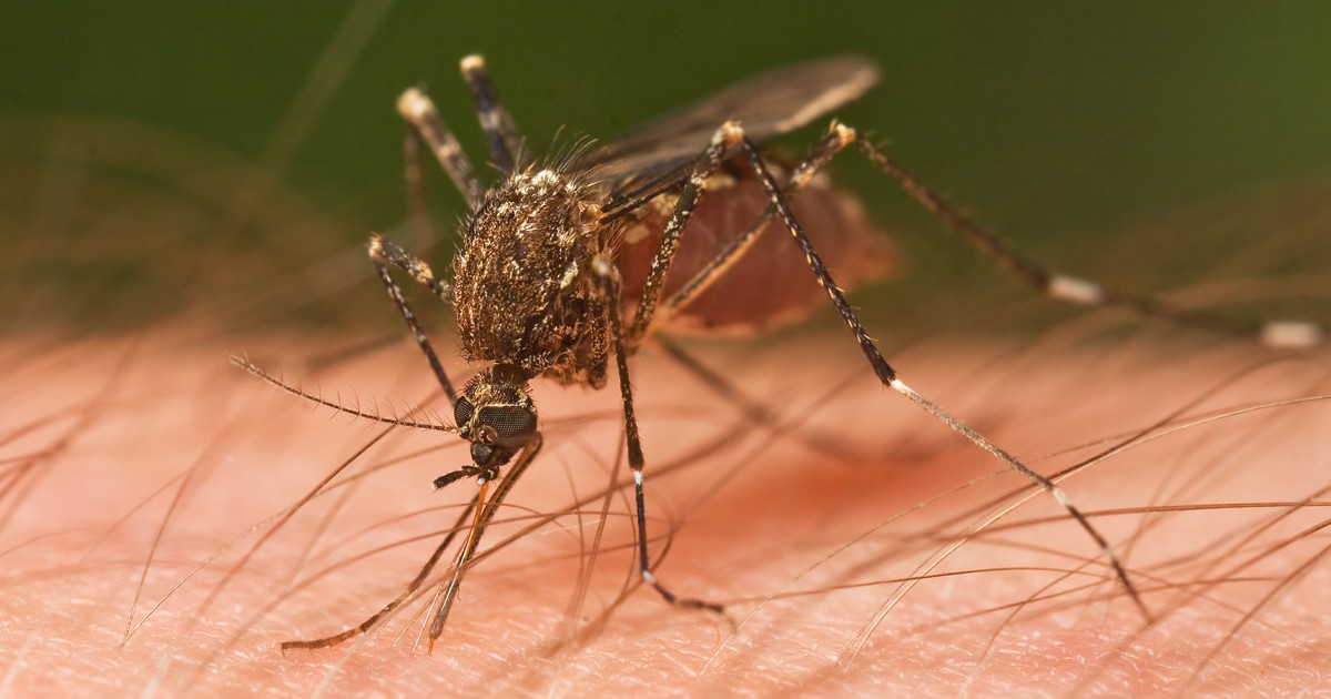 Congress Should Spend More on Zika Response