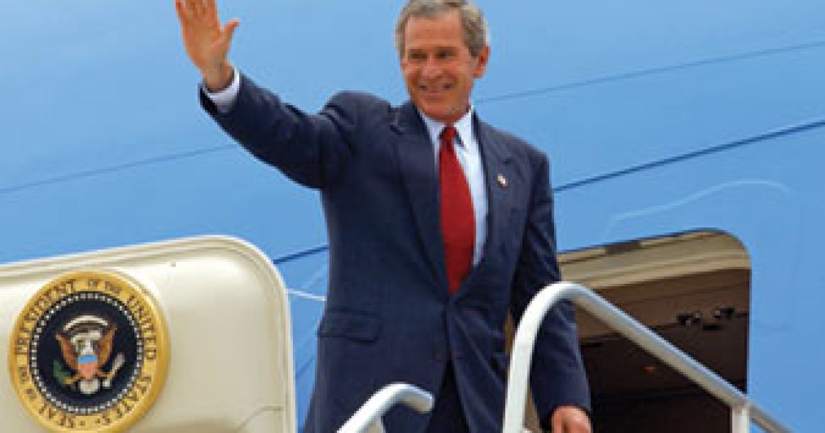 The Bush Hangover