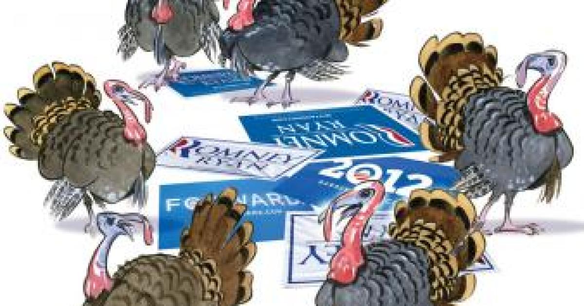 Turkey in the Straw