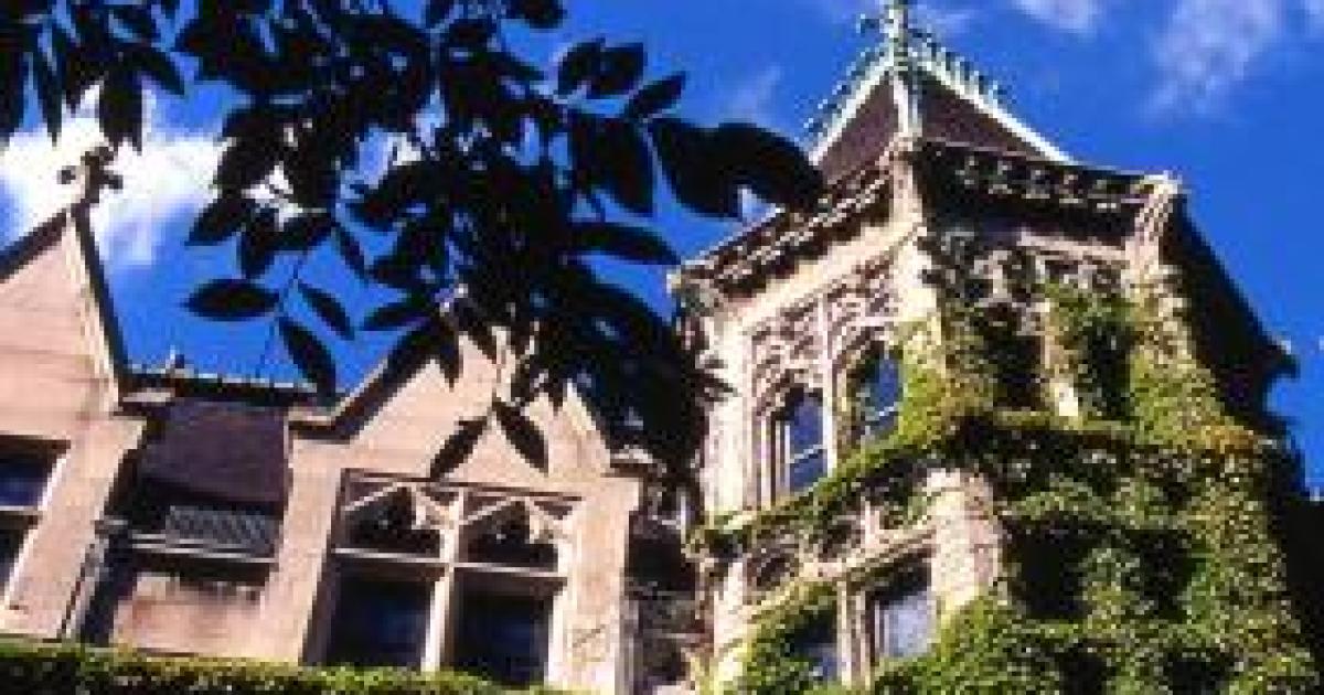 The College Bubble