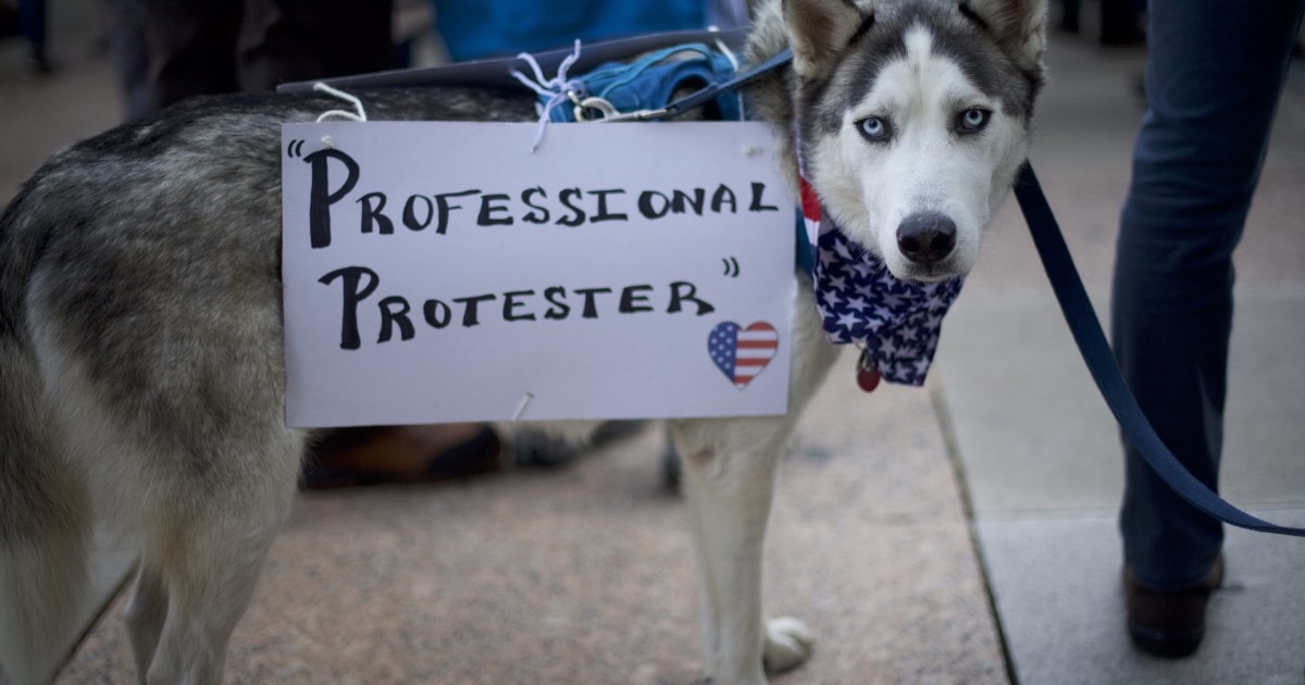 Afternoon Links: Woke Dogs, Ask Mike Warren Anything, and Dorms for Congress?