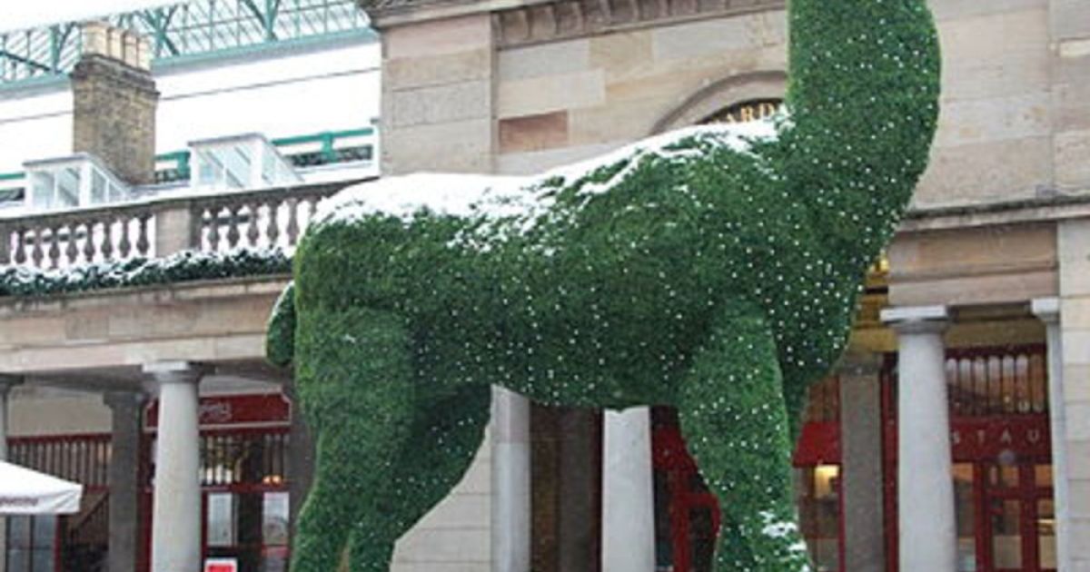 Prufrock: Artists against Trump, Gentlemanliness and Morality, and a History of Rudolph