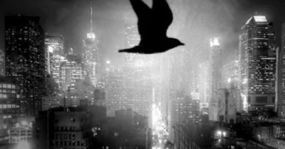 Toddlin’ Town