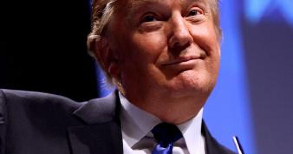 GOP Primary Poll: Trump 20, Walker 13, Bush 10