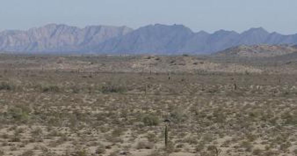 DOJ Files Suit to Block AZ Immigration Law