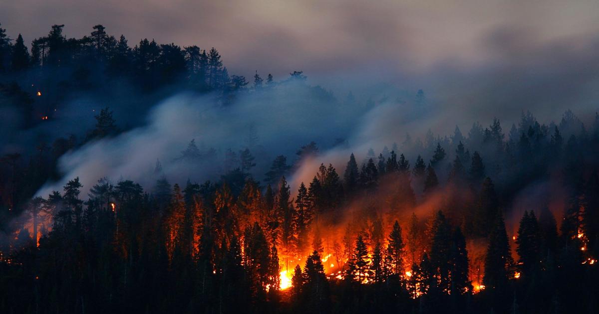 The Firestarter: What Happens When the Government Lies About You in Court?