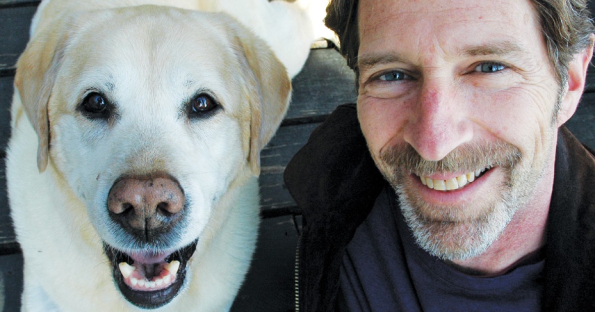 Canine Therapy