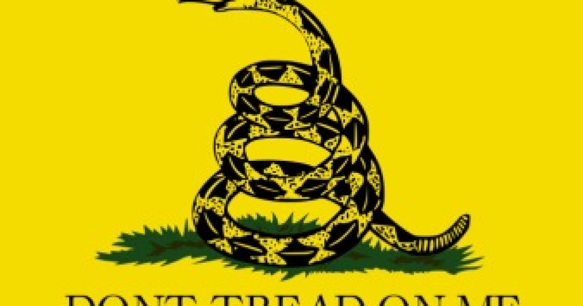 Tea Party Hackers vs. WikiLeaks?