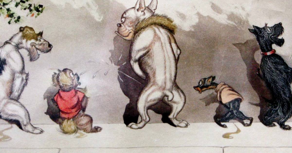 Un Chien Errant