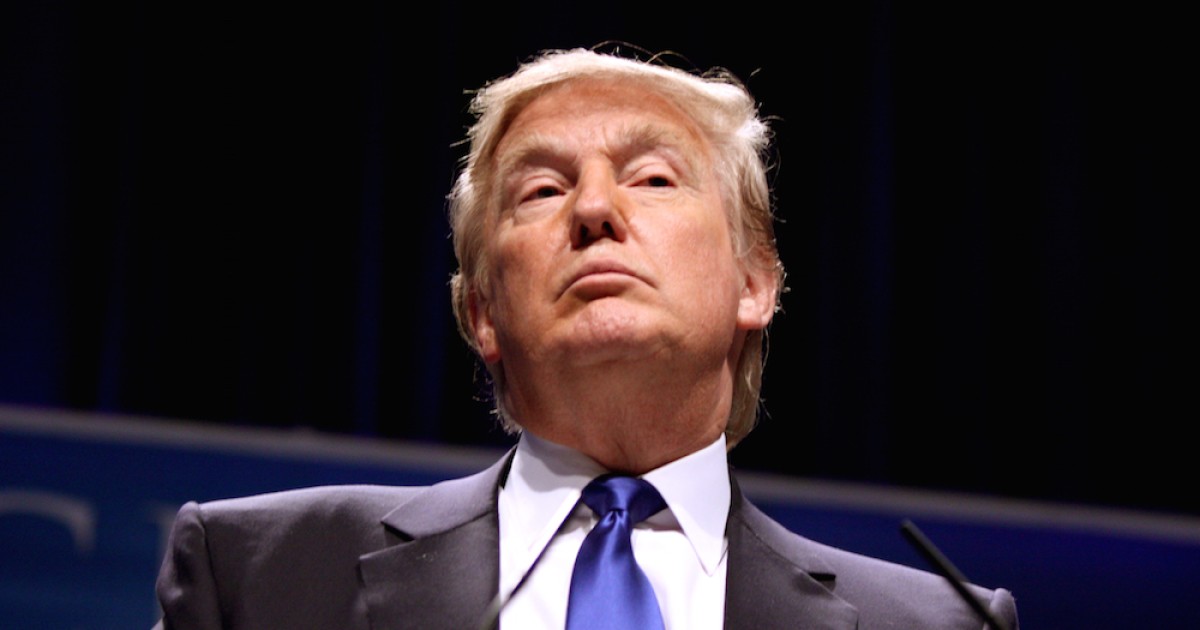 Trump, the Economy, the Midterms, and the Road Ahead