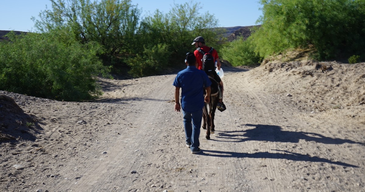 Border Bike Trip, Day 22: Everything Is Biggest in Brewster County, Texas