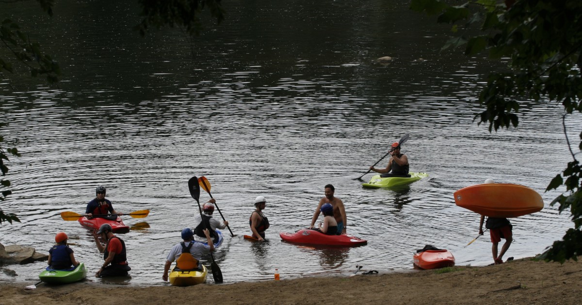 Afternoon Links: Swimming in the Swamp and a 'Mooving' Proposal