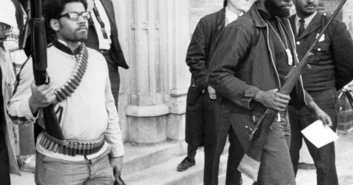 The Self-Destruction of the American University