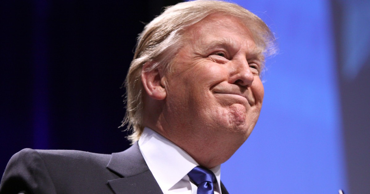 Donald Trump, Inadvertent Reformer