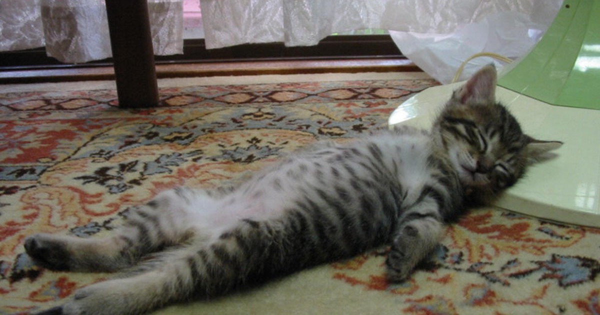 Sleepy
