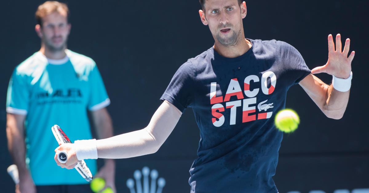 Novak Djokovic Has an Elbow