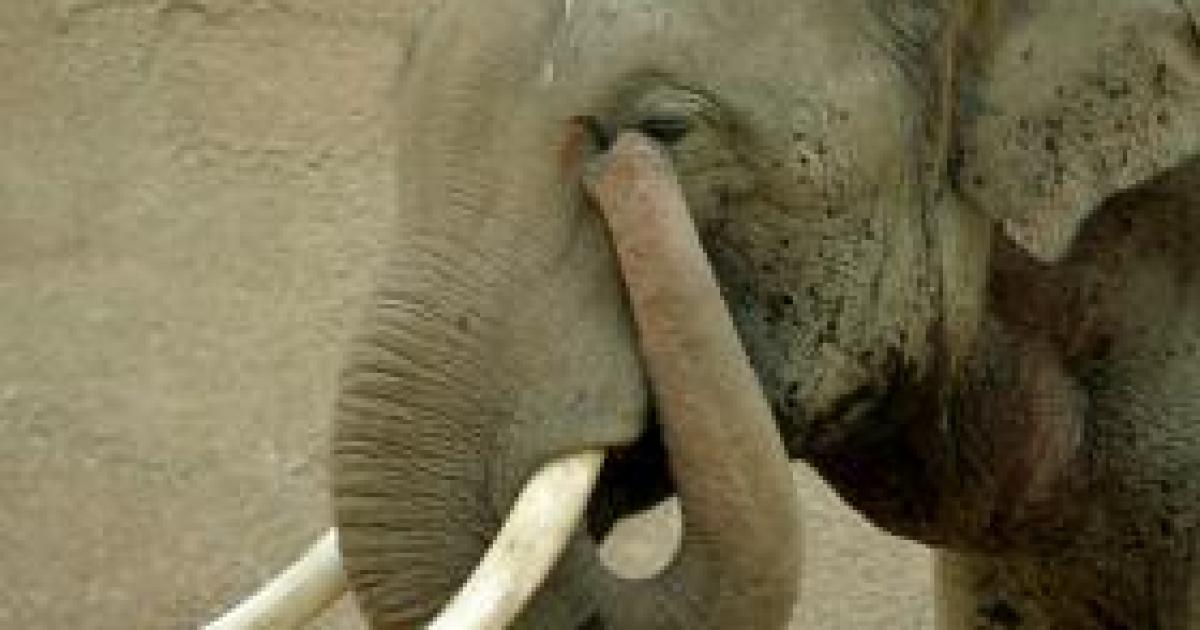 Gallup: Generic Republican Running Neck-and-Neck with Obama