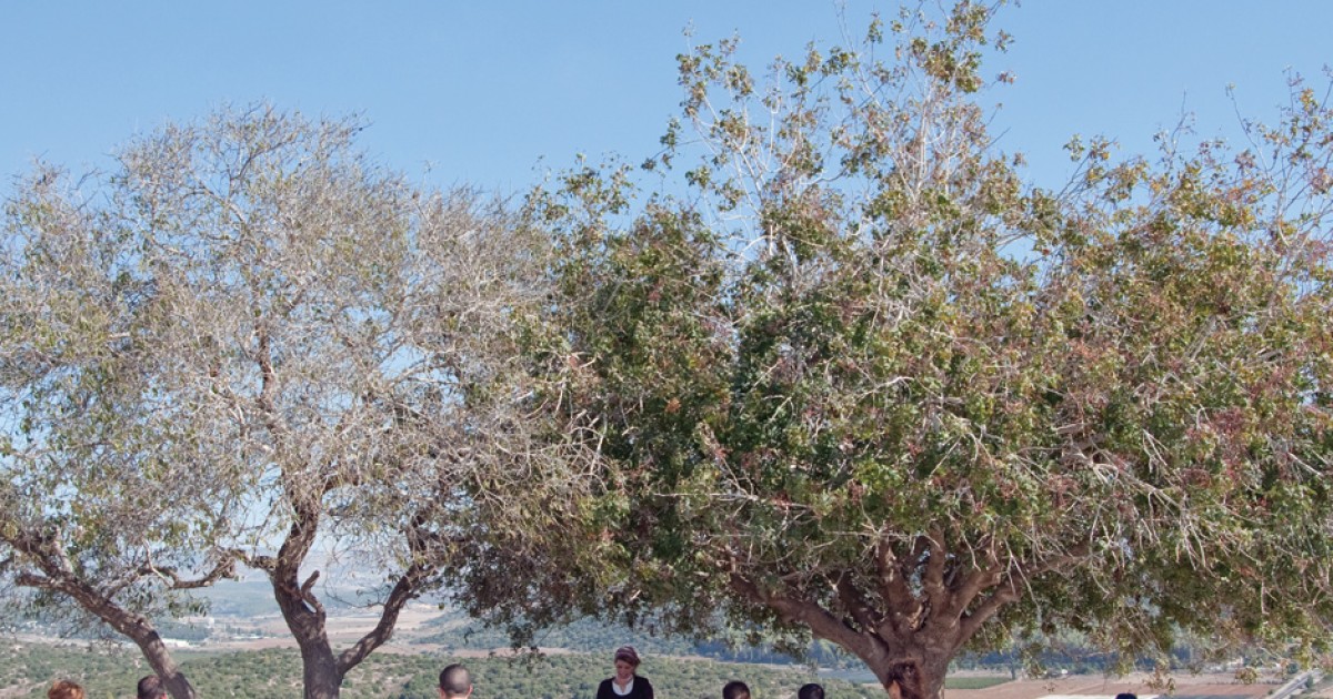 The Shalem Experiment
